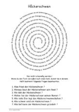 Höckerschwan.pdf